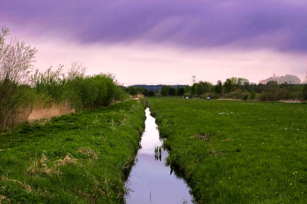 Zdjęcia czytelników - widoki