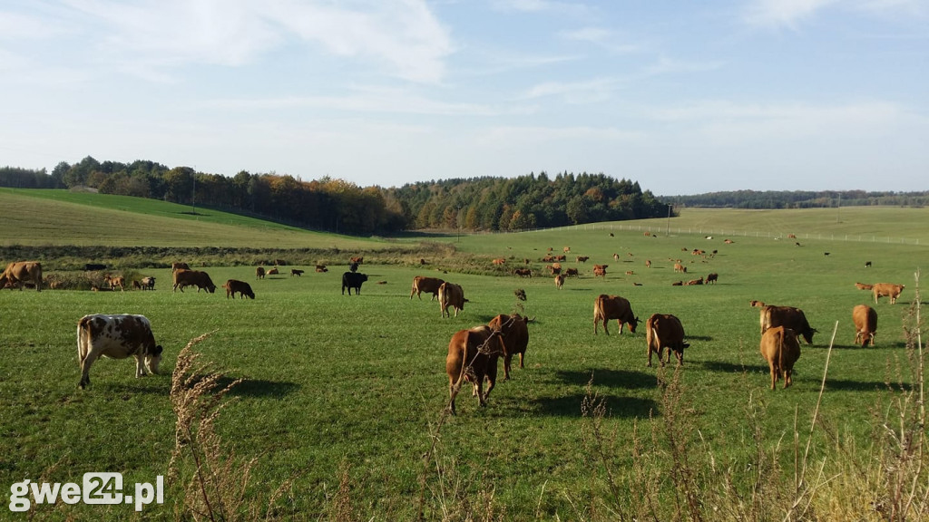 Zdjęcia czytelników - widoki