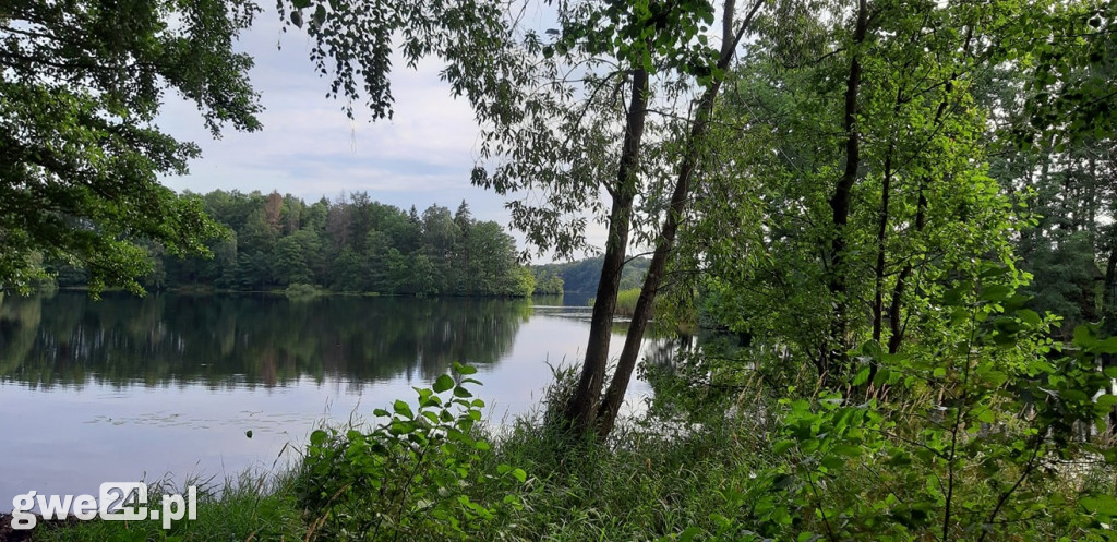 Zdjęcia czytelników - widoki