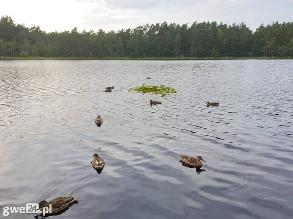 Zdjęcia czytelników - widoki
