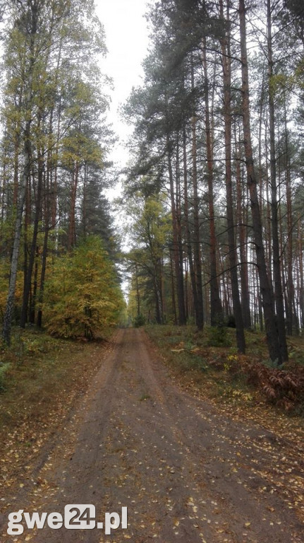 Zdjęcia czytelników - widoki