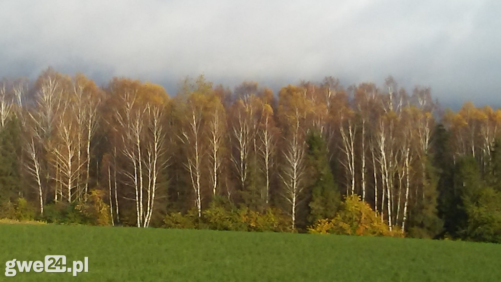 Zdjęcia czytelników - widoki