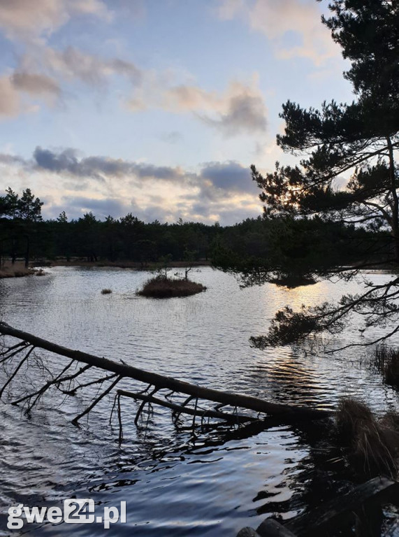 Zdjęcia czytelników - widoki