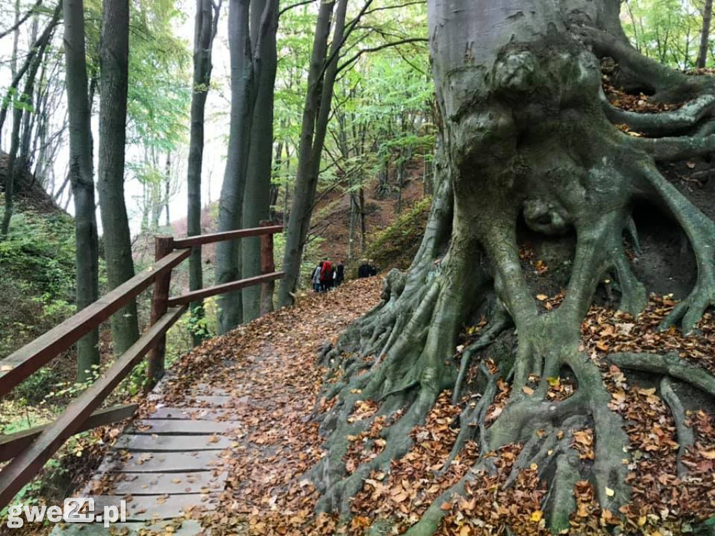 Zdjęcia czytelników - widoki