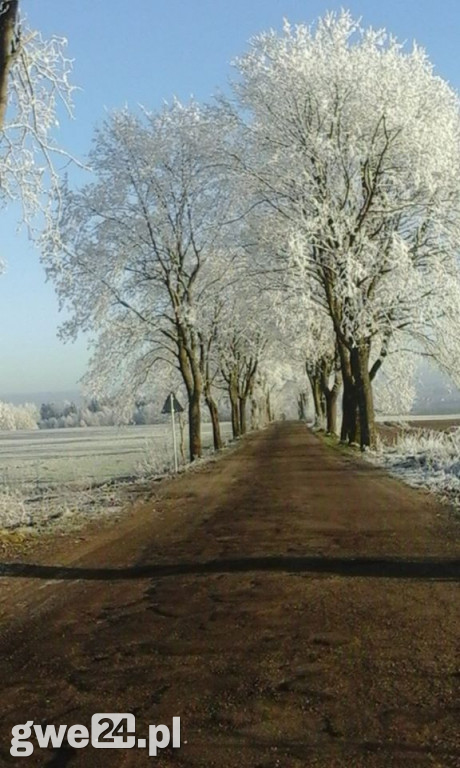 Zdjęcia czytelników - widoki
