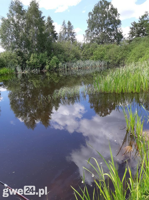 Zdjęcia czytelników - widoki