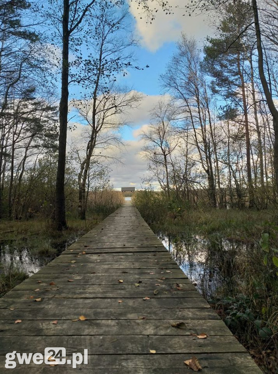 Zdjęcia czytelników - widoki