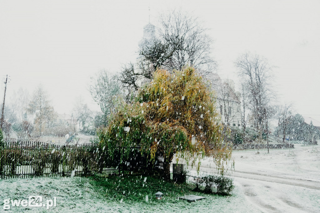 Zdjęcia czytelników - widoki