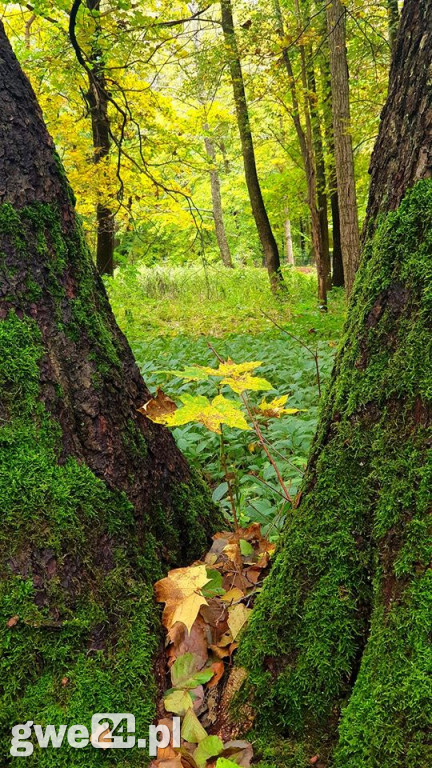 Zdjęcia czytelników - widoki