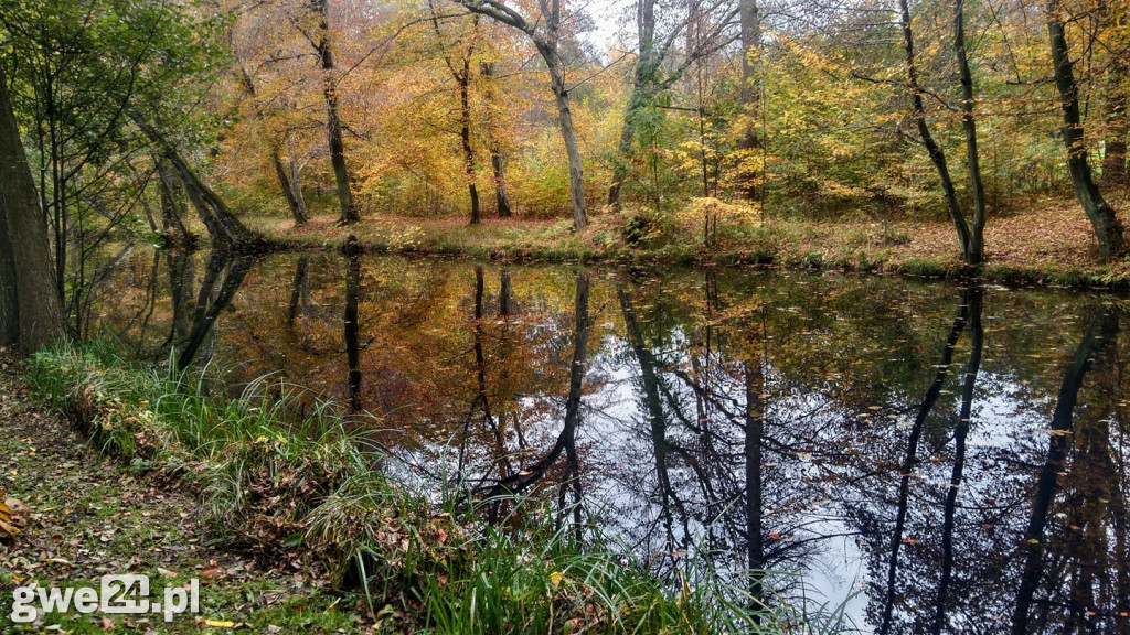Zdjęcia czytelników - widoki
