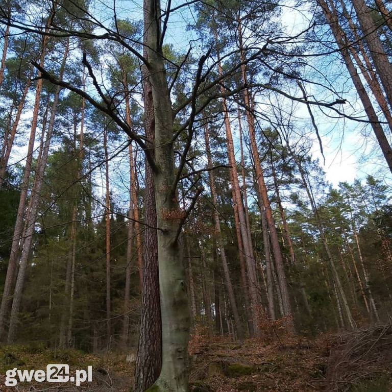 Zdjęcia czytelników - widoki
