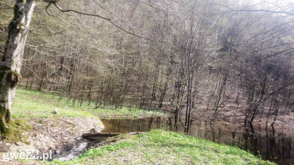 Zdjęcia czytelników - widoki