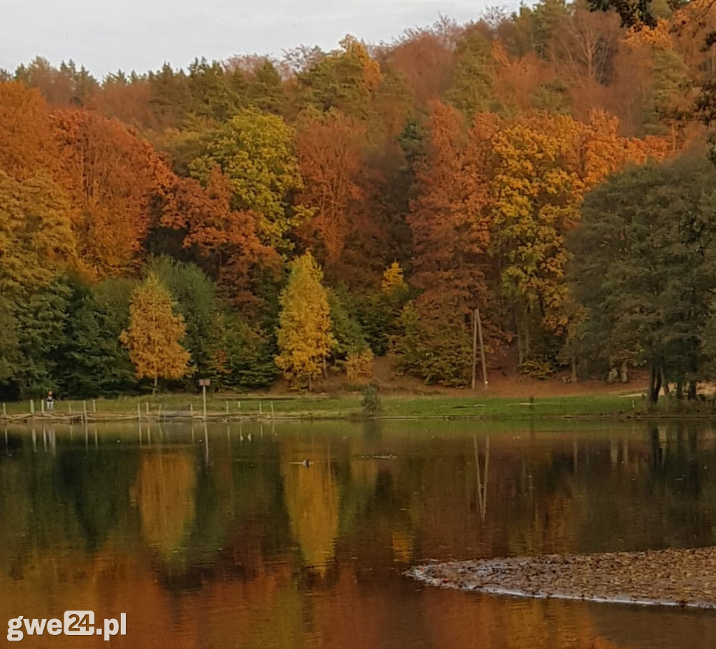 Zdjęcia czytelników - widoki