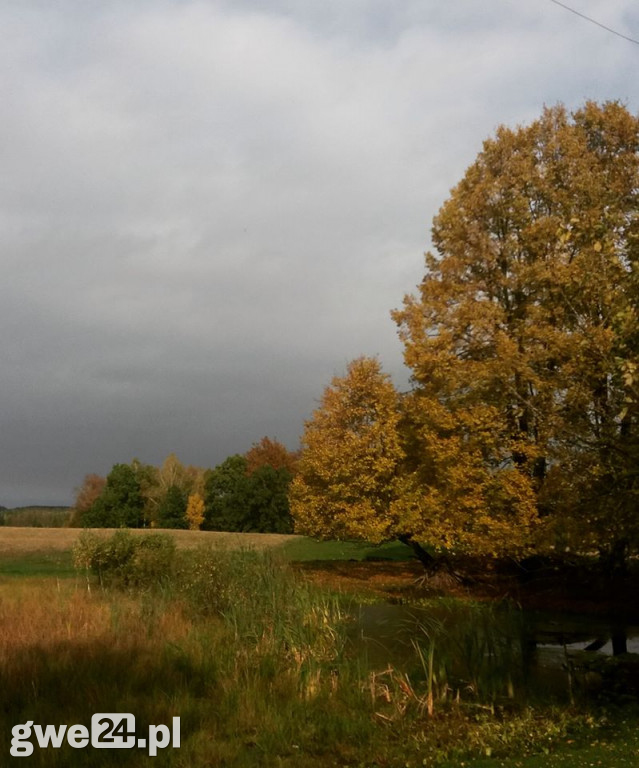 Zdjęcia czytelników - widoki