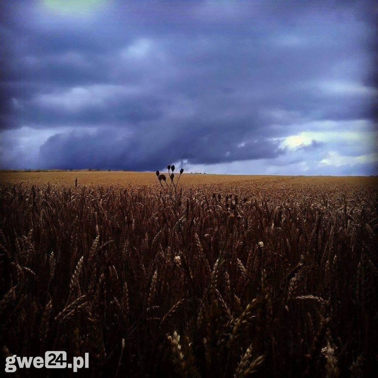 Zdjęcia czytelników - widoki