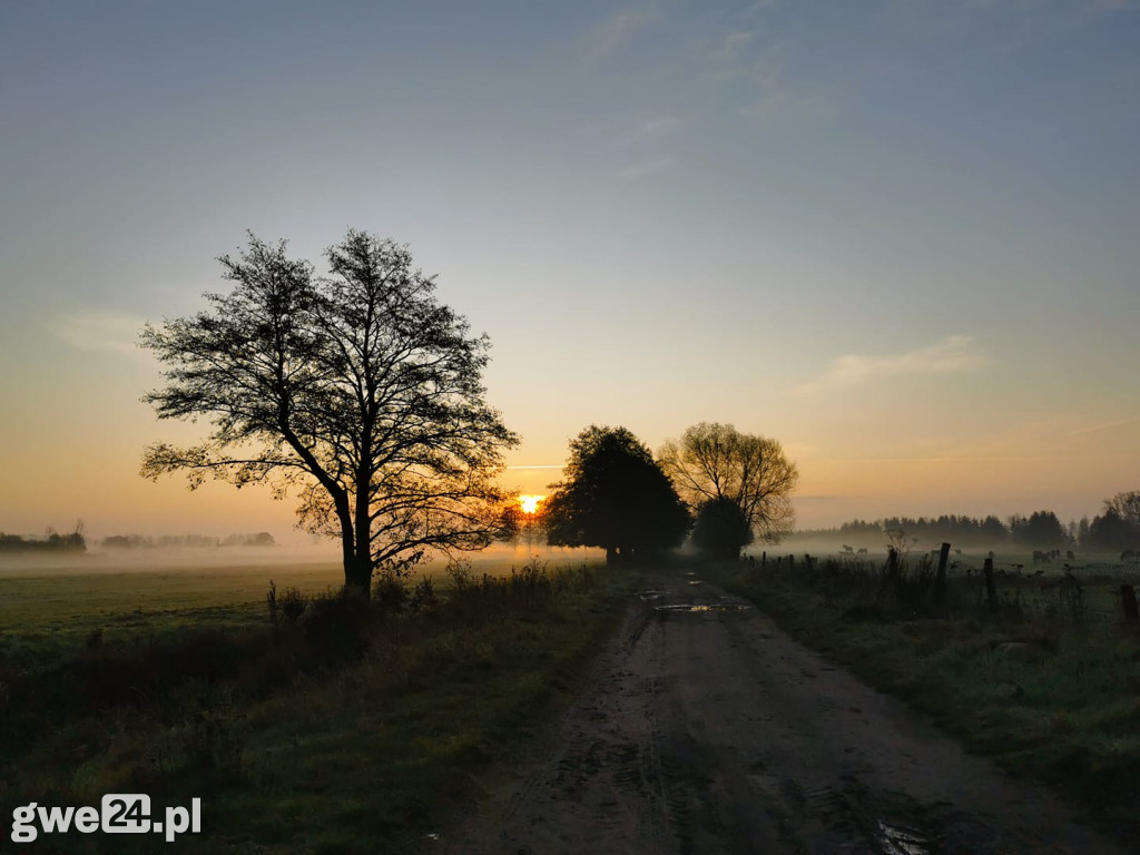 Zdjęcia czytelników - widoki