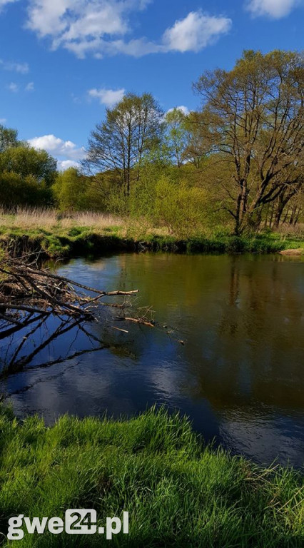 Zdjęcia czytelników - widoki