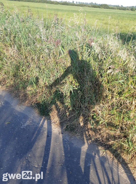 Zdjęcia czytelników - pasja
