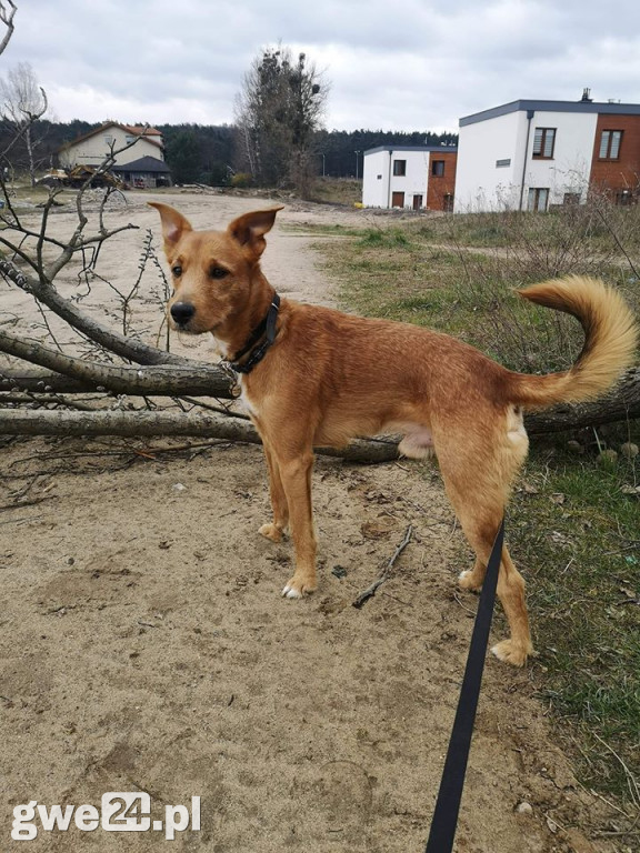 Pupile - zdjęcia czytelników
