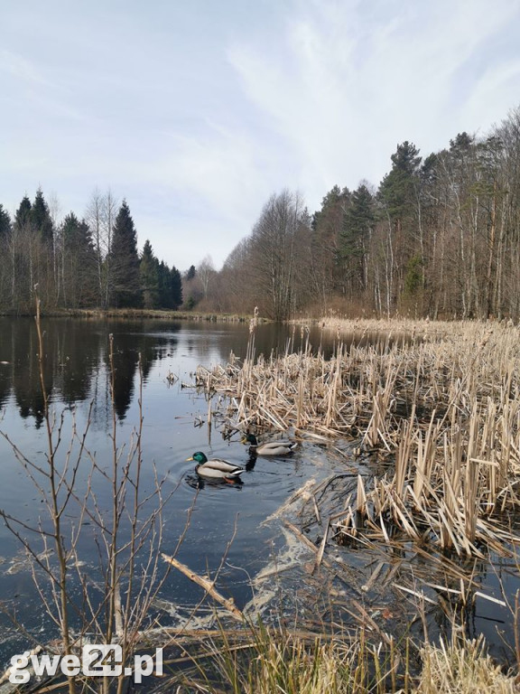 Ulubione miejsca - galeria czytelników