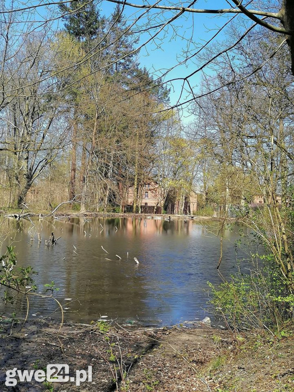 Dzień Ziemi - galeria czytelników