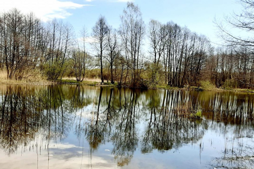 Wejherowo - zdjęcia czytelników