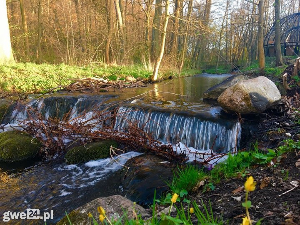 Wejherowo - zdjęcia czytelników