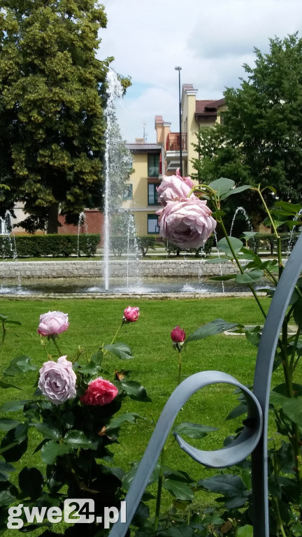 Wejherowo - zdjęcia czytelników