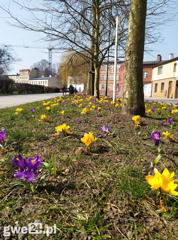 Wejherowo - zdjęcia czytelników