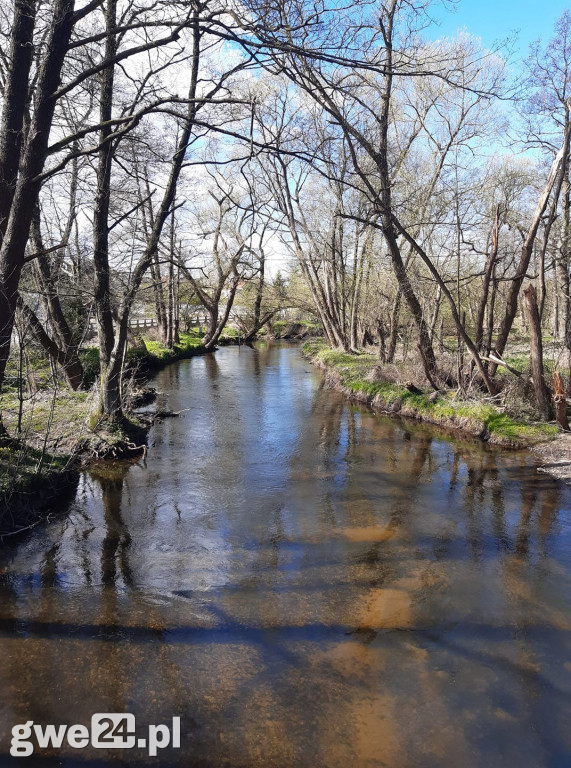 Wejherowo - zdjęcia czytelników