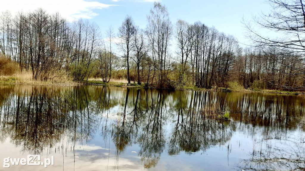 Wejherowo - zdjęcia czytelników