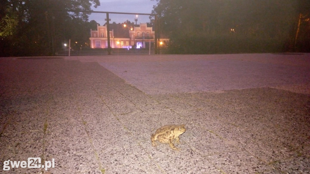 Wejherowo - zdjęcia czytelników