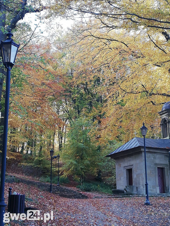 Wejherowo - zdjęcia czytelników