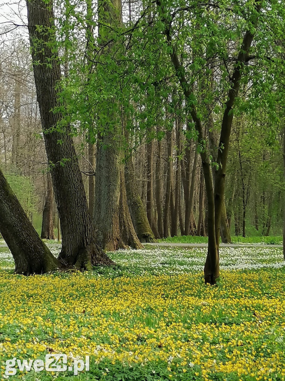 Wejherowo - zdjęcia czytelników