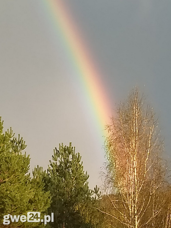 Tęcza - zdjęcia czytelników