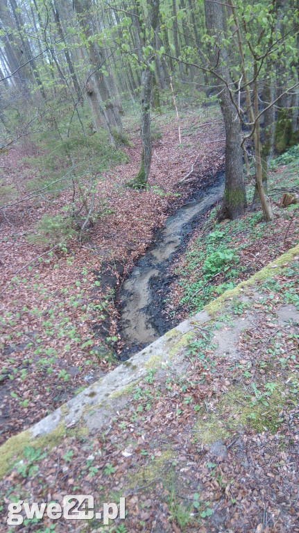 Powiat wejherowski - zdjęcia czytelników