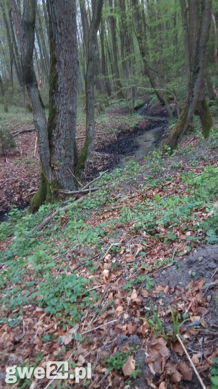 Powiat wejherowski - zdjęcia czytelników