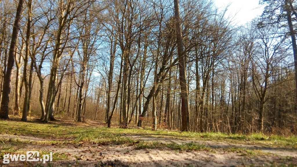 Powiat wejherowski - zdjęcia czytelników