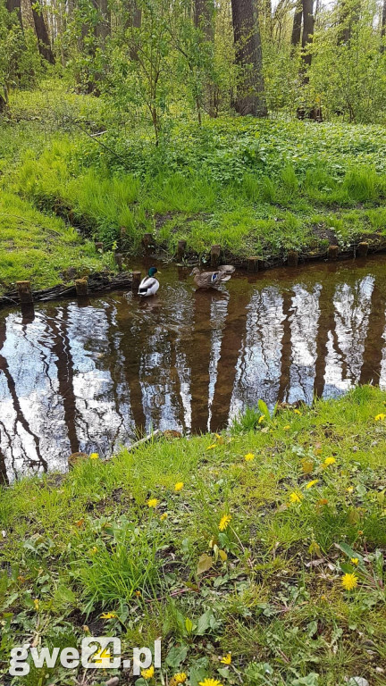 Powiat wejherowski - zdjęcia czytelników