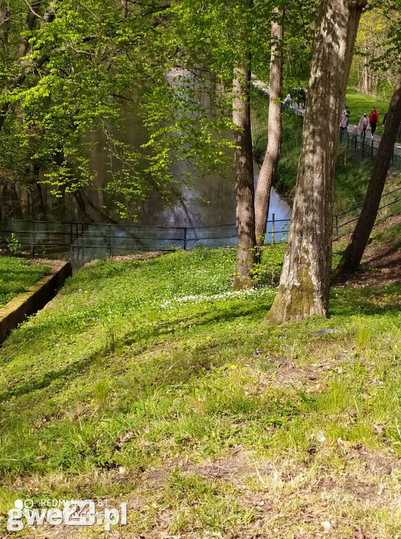 Powiat wejherowski - zdjęcia czytelników