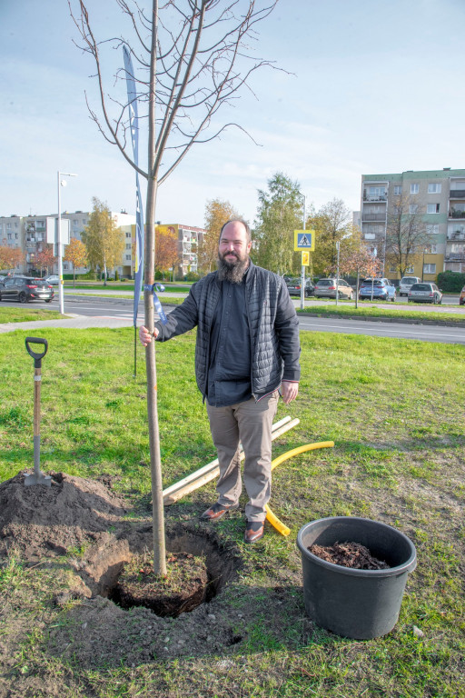 „Zieleń na mur-beton” - W Rumi przybyło 71 drzew