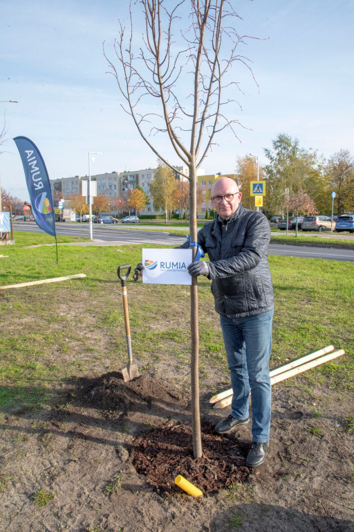 „Zieleń na mur-beton” - W Rumi przybyło 71 drzew