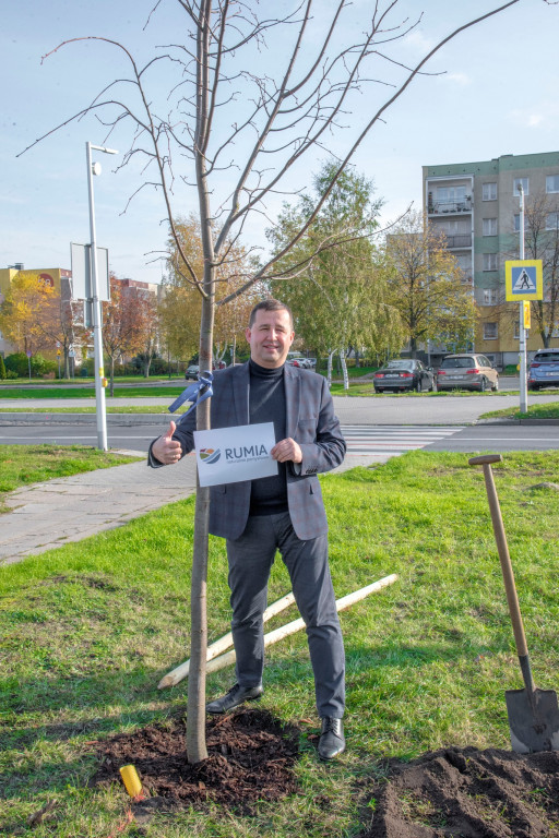 „Zieleń na mur-beton” - W Rumi przybyło 71 drzew