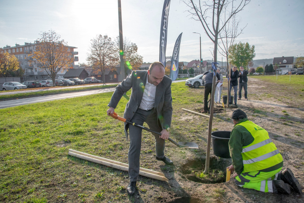 „Zieleń na mur-beton” - W Rumi przybyło 71 drzew