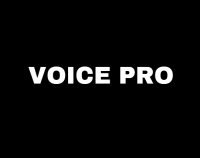 Logo firmy Studio Nagrań Voice Pro