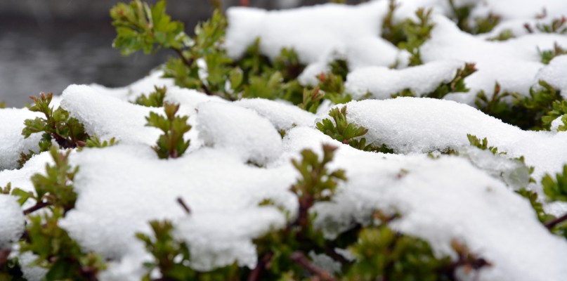 Zima w maju. Kiedy wróci wiosna?