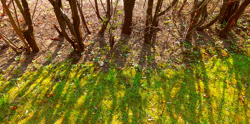 Godzina dla Ziemi - zgaś światło!