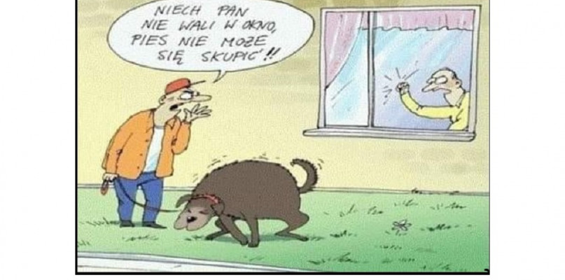 WŁAŚCICIELE PIESKÓW POD KONTROLĄ SŁUŻB MUNDUROWYCH