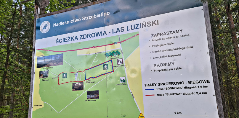 fot. gwe24.pl