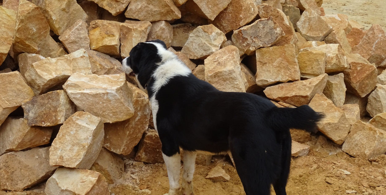 Kopalnia kamienia naturalnego - Producent kamienia hydrotechnicznego